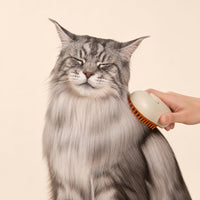 Cepillo AquaPur en uso sobre un gato